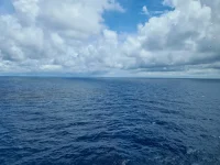 20230615_131732.webp