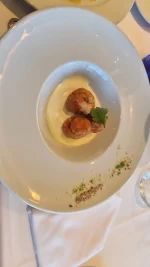 20230925_130108.webp