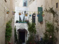 DSCF6722.webp