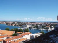 DSCF6780.webp