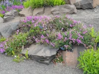 1000020285.webp