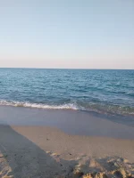 20250808_185634.webp