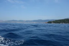 DSC05207.webp