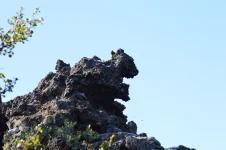 DSC_0522.webp