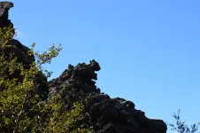 DSC_0523.webp