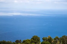 pacifica (474) copia.webp