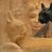 bastet